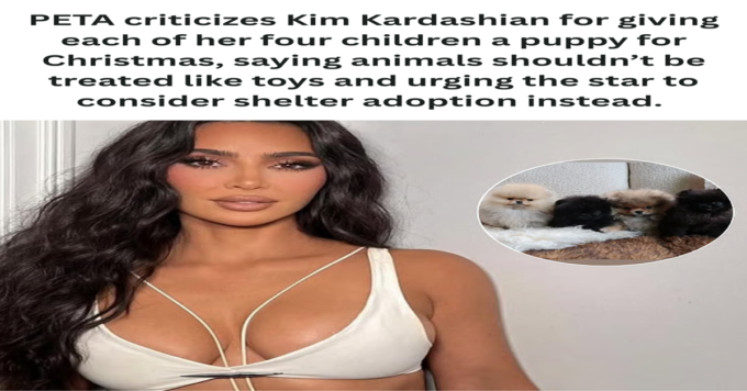 Low calorie Mediterranean diet shown to lower diabetes risk 22