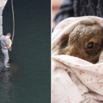 Saving His Pet Rabbit from the River